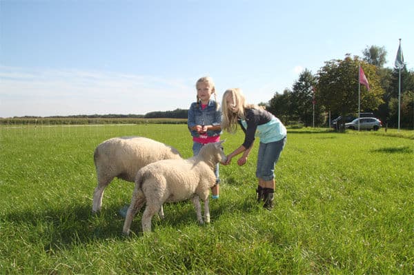 Kinderboerderij
