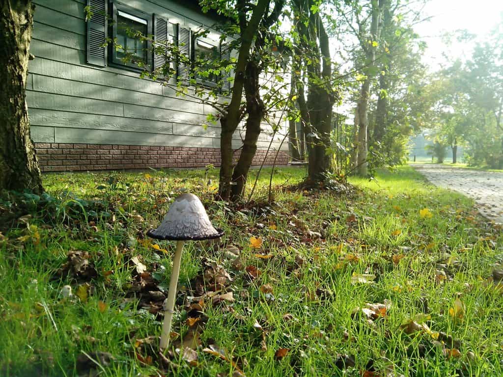 Herfst Herfst op Resort de Arendshorst